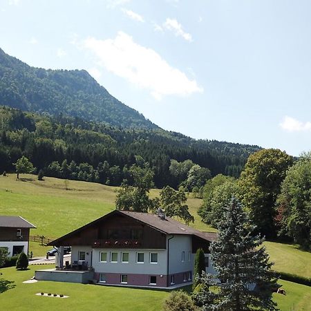 Am Mondseeblick Buitenkant foto
