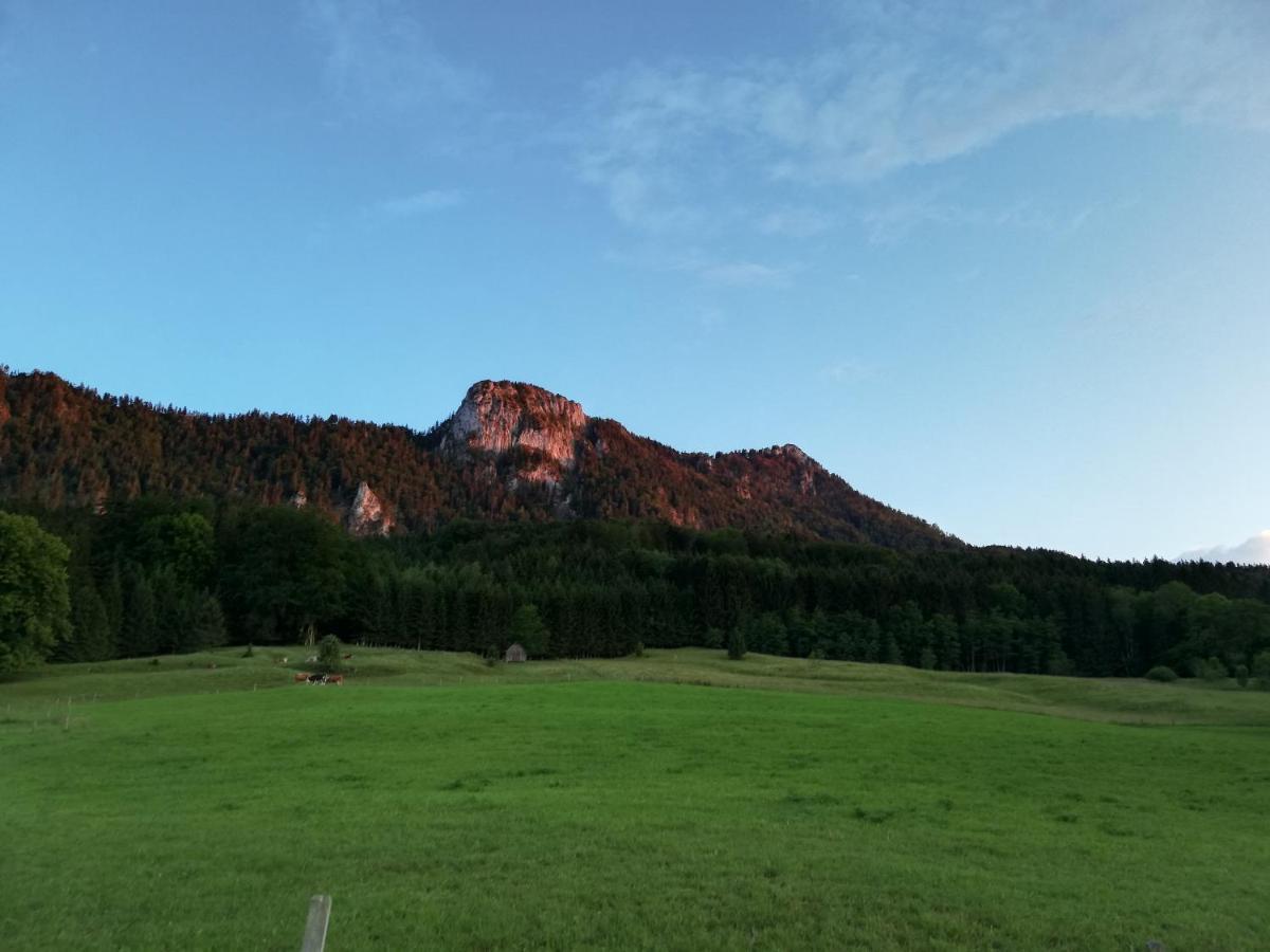 Am Mondseeblick Buitenkant foto