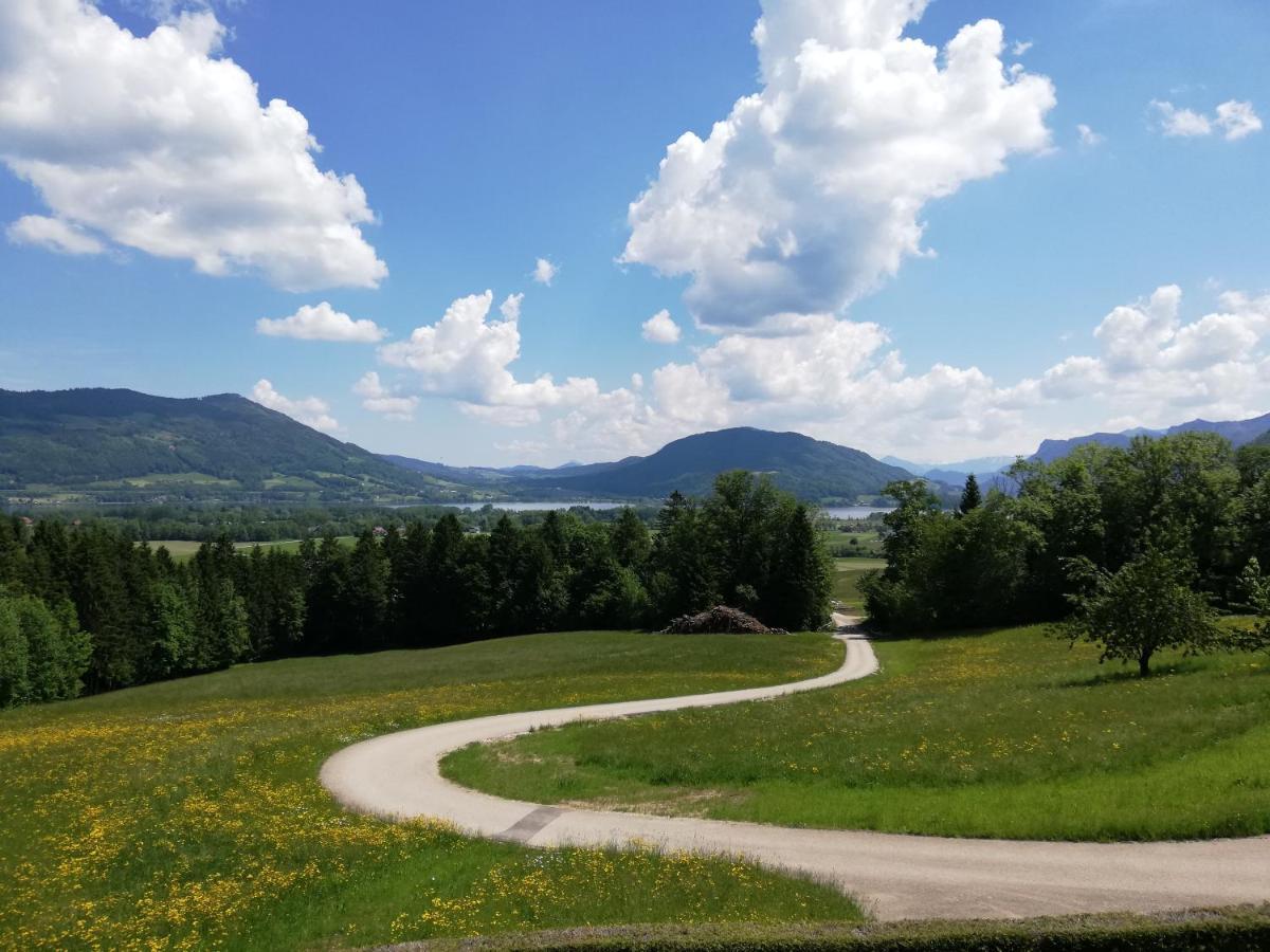 Am Mondseeblick Buitenkant foto